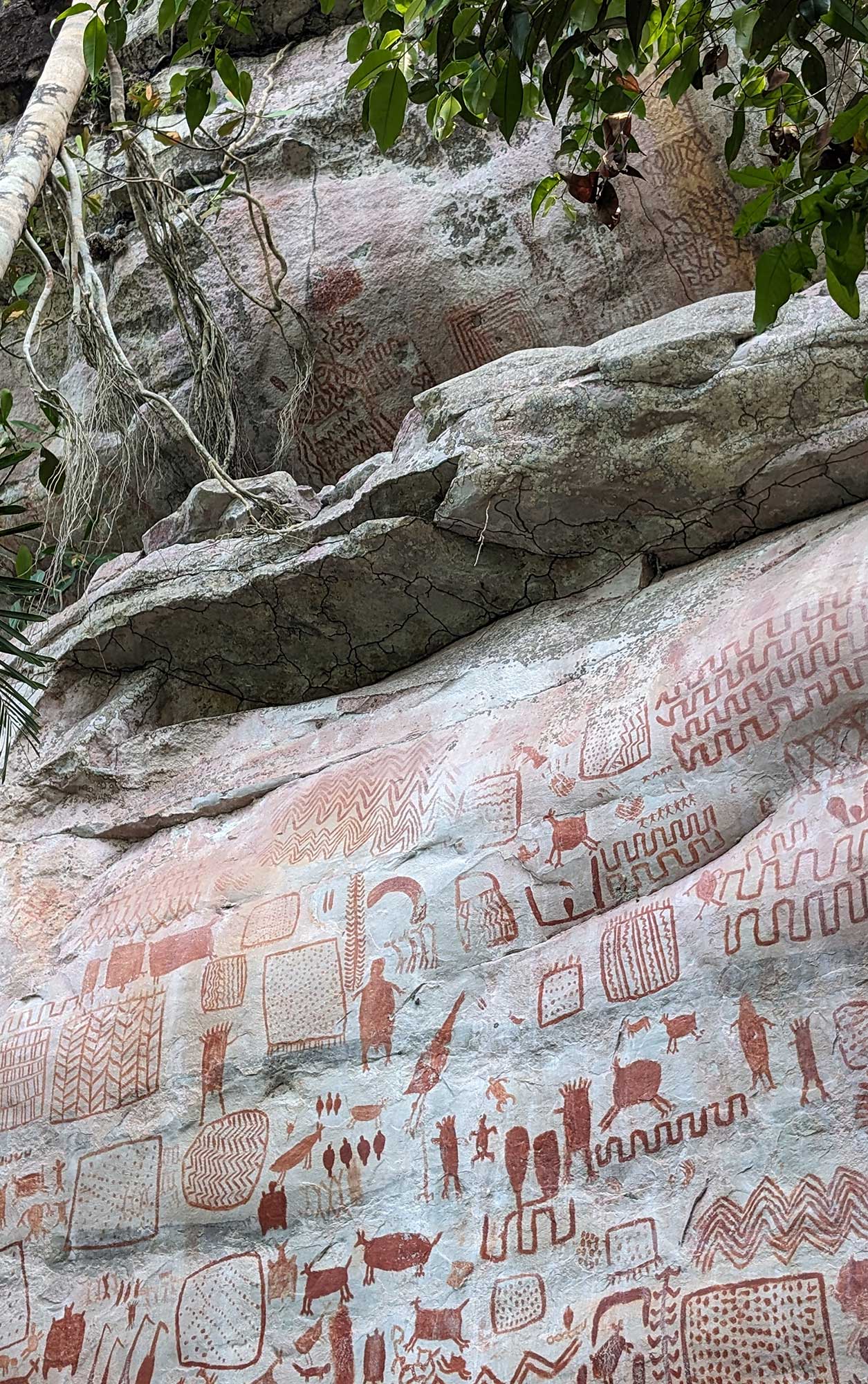 Close-up view of red pictograms and geometric shapes painted on a cracked stone surface with hanging roots