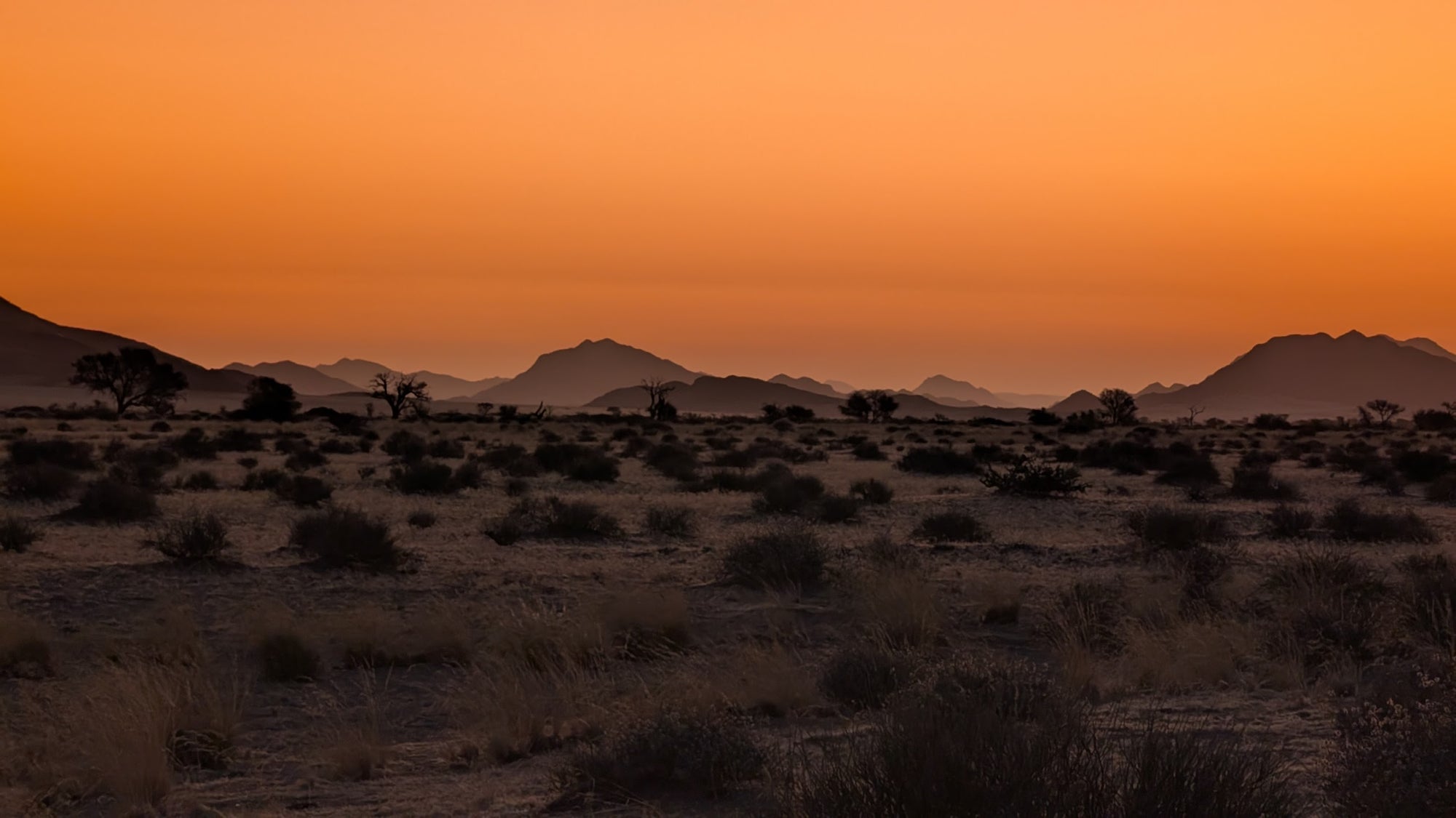 Desert landscape at sunset with soft orange sky, distant mountains and scattered vegetation
