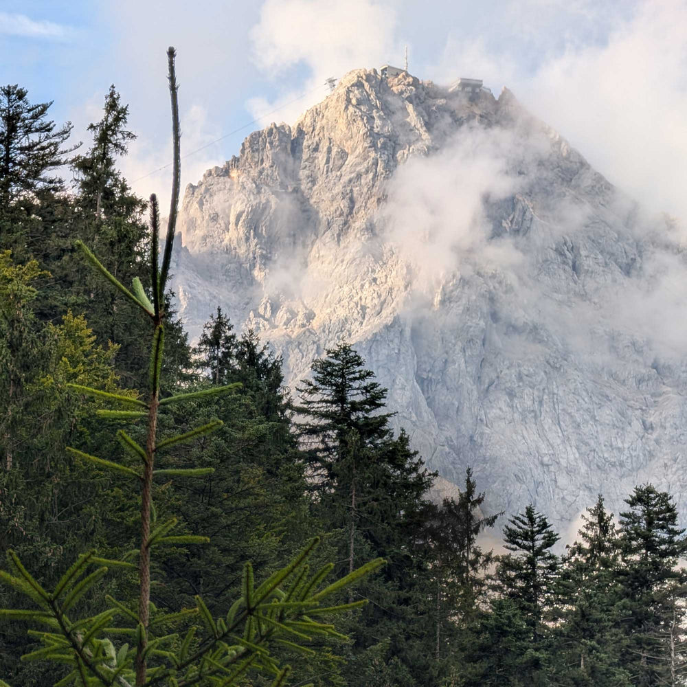 Mountain peak covered in light clouds with tall evergreen trees in the foreground