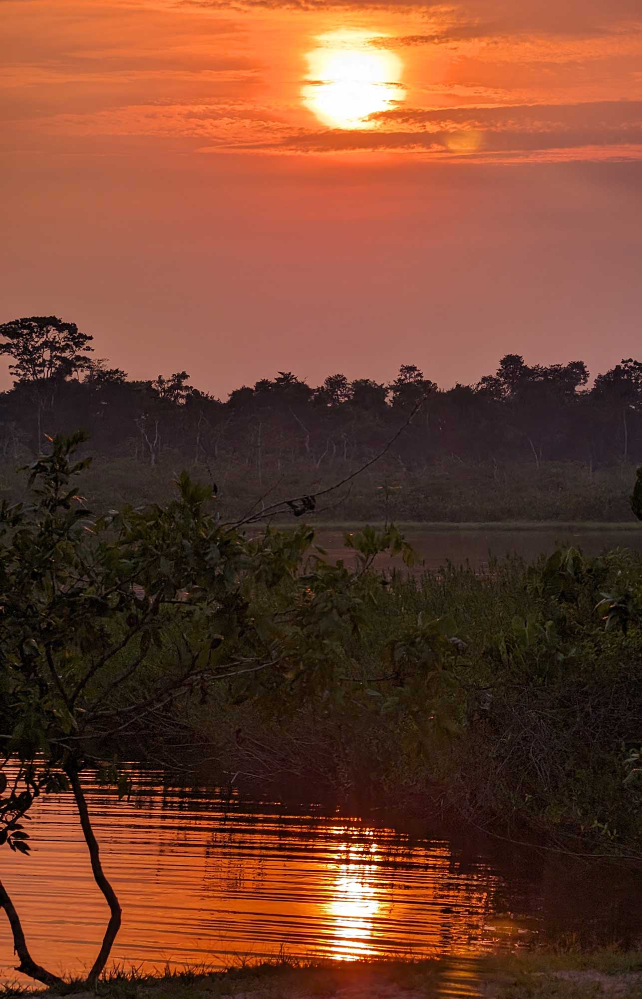 Orange sunset reflecting on calm water with silhouetted trees and dense vegetation in the background