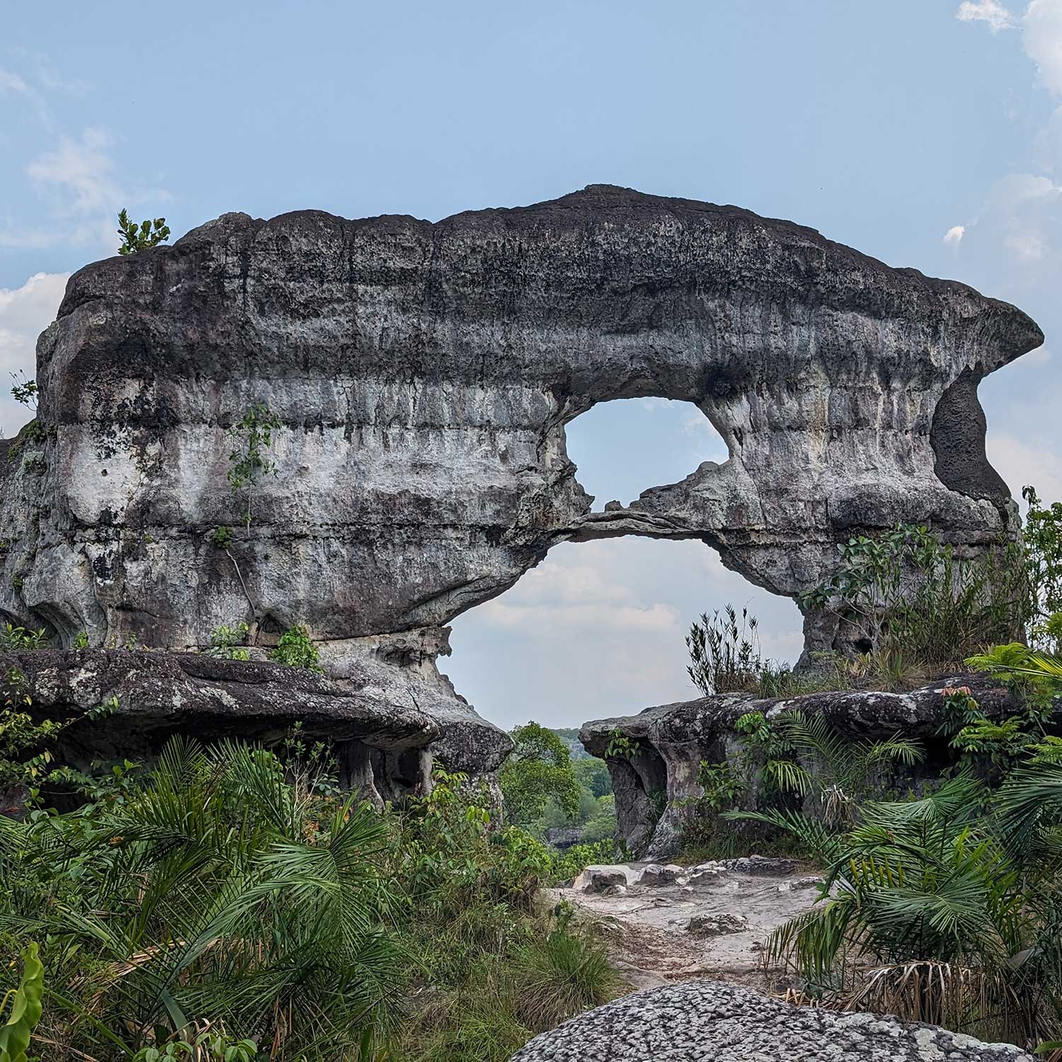 Large weathered rock formation with a natural central arch surrounded by vegetation and an open sky